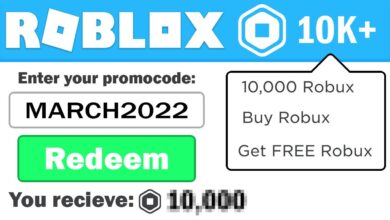 Free Roblox Promo Codes